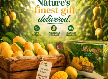 Buy Farm Fresh Mangoes Online in Pakistan – Mango Feast by GiftWifts