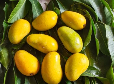 Mangoes Online in Pakistan – Send Farm Fresh Mangoes with GiftWifts by Leopards
