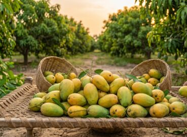 Farm Fresh Fruits Delivered Across Pakistan – Nature’s Freshness at Your Doorstep